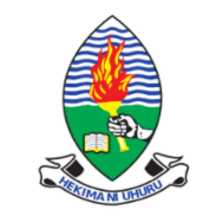 Assistant Accountant At UDSM,New 56 Jobs At University of Dar es Salaam (UDSM)