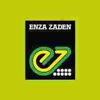 Enza Zaden Tanzania