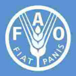Food and Agriculture Organization FAO
