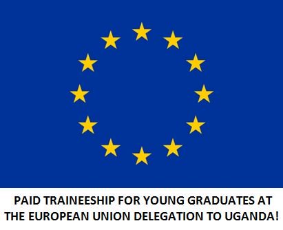 eu delegation to uganda traineeship 2019