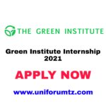 Green Institute Internship 2021