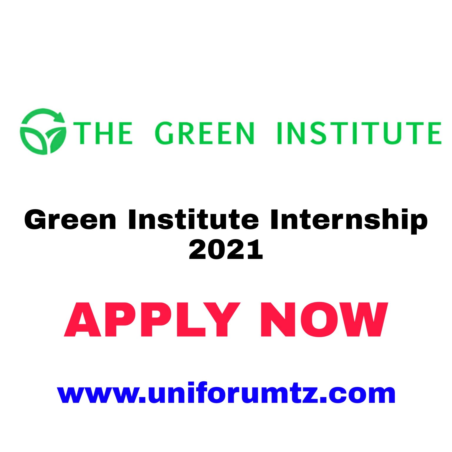 Green Institute Internship 2021