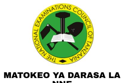 Matokeo Ya Darasa La Nne 2021/2022 | NECTA SFNA Results 2021