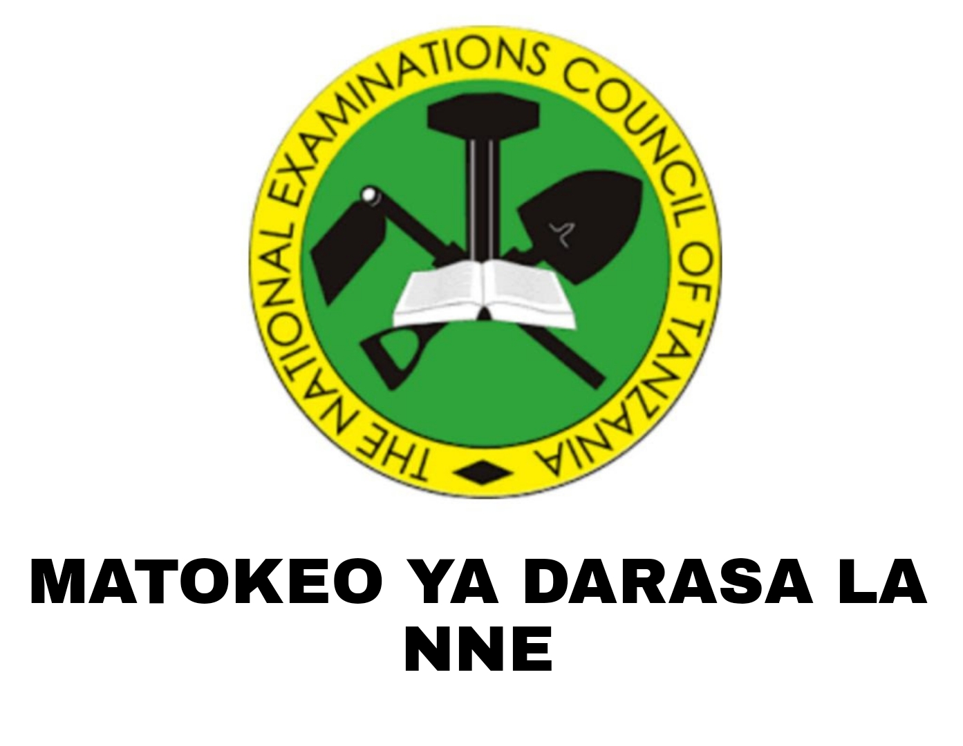 Matokeo Ya Darasa La Nne 2023/2024 | NECTA SFNA Results 2023
