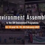 UN Environment Programme (UNEP) Youth Environment Assembly (YEA) 2021