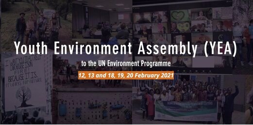 UN Environment Programme (UNEP) Youth Environment Assembly (YEA) 2021