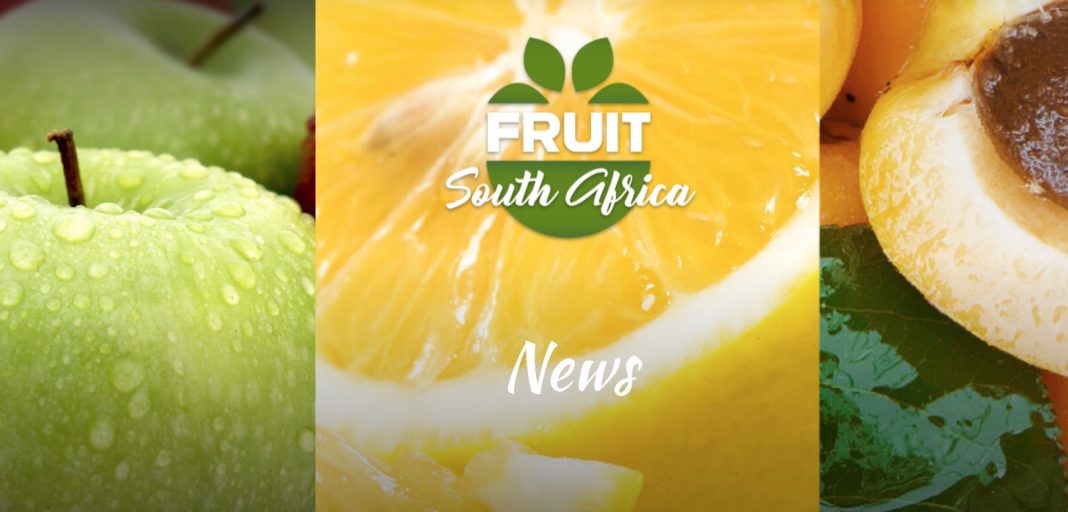 Fruit South Africa Internship Opportunity 2021