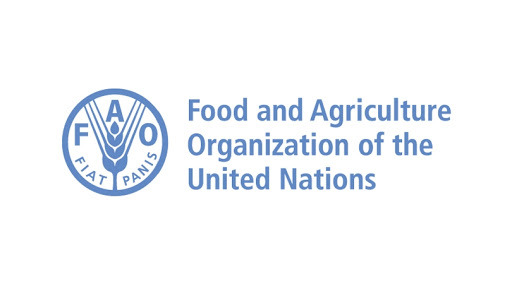 UN FAO Fellows Programme 2021