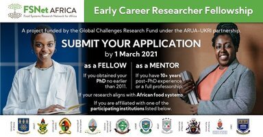 FSNet-Africa Early Career Researcher Fellowship 2021