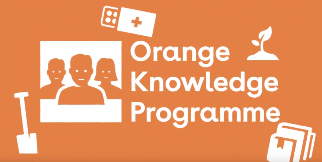 Nuffic Orange Knowledge Programme (OKP) 2021/2022 To Study Netherland