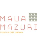 Maua Mazuri