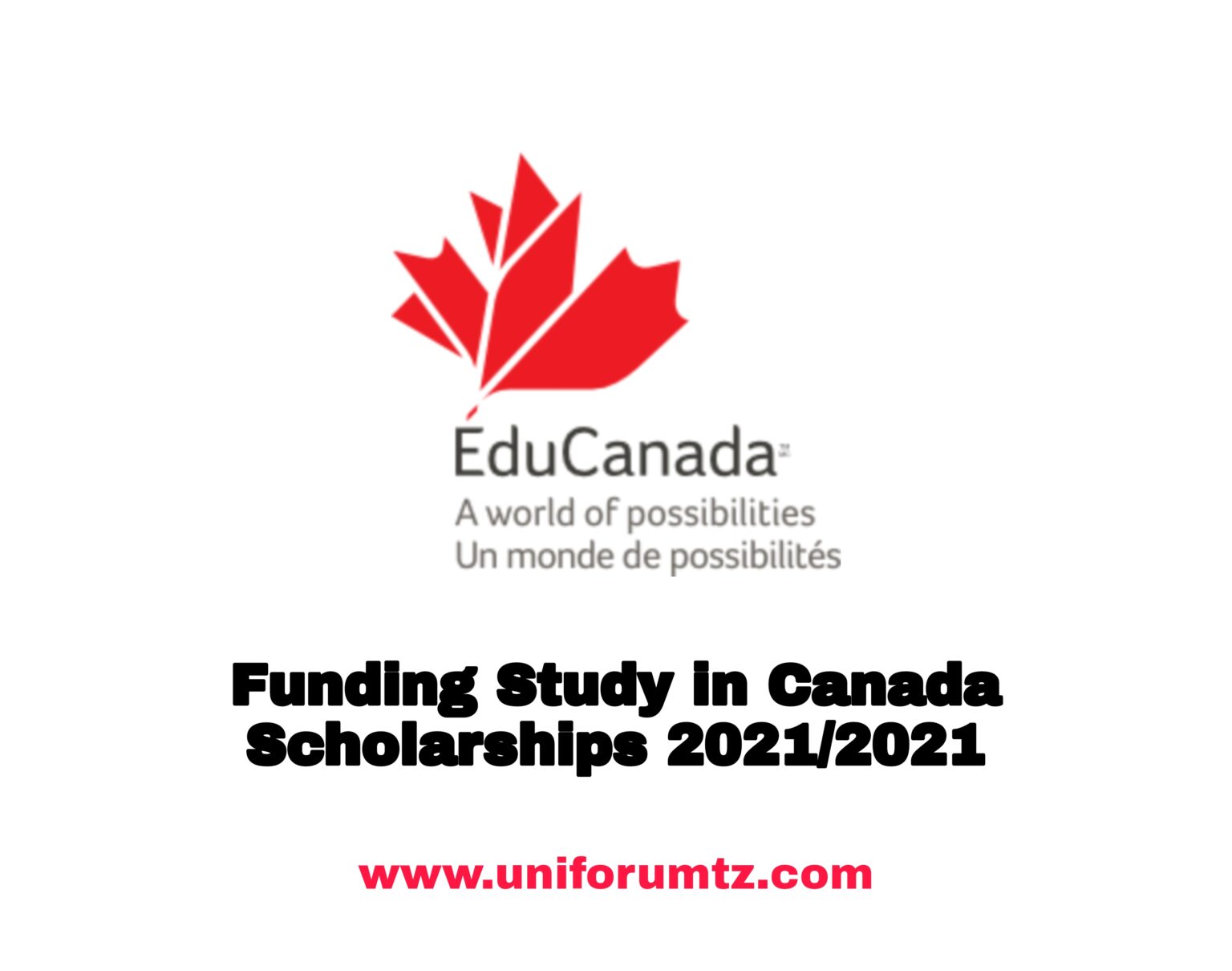 Funding Study in Canada Scholarships 2021/2022