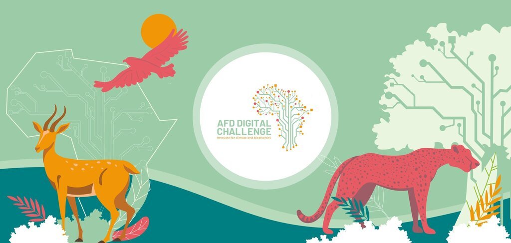 AFD Digital Challenge 2021