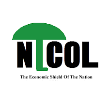 CEO At National Investments PLC (NICOL), June 2021