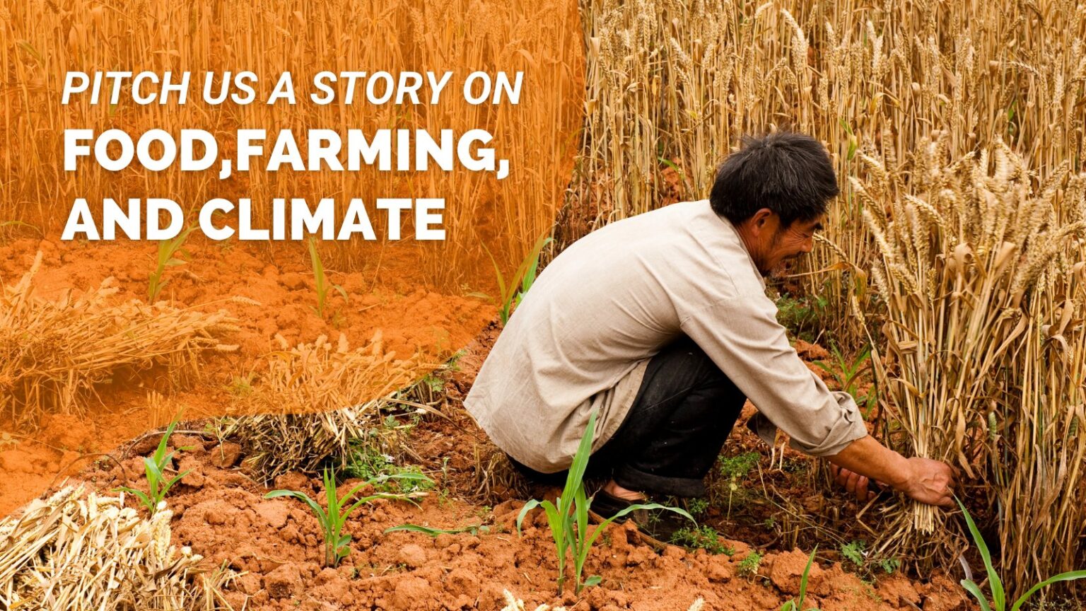 Opportunity: Pitch us a Food, Farming, and Climate Story