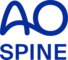 AO Spine Europe and Southern Africa Fellowship Program 2021