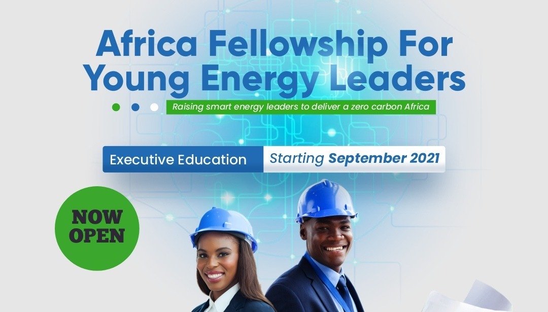 Africa Fellowship for Young Energy Leaders 2021