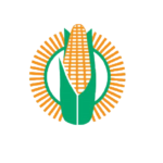 Maize Trust Bursary 2022 Programme
