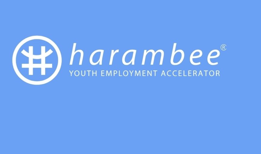 SA Youth Harambee Login & Register