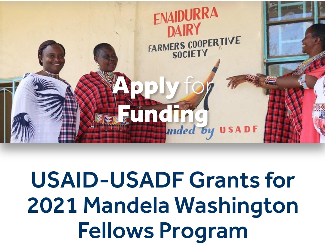 USAID–USADF Grants for 2021 Mandela Washington Fellows Program.