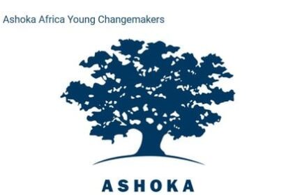Ashoka Southern Africa Paid Internship