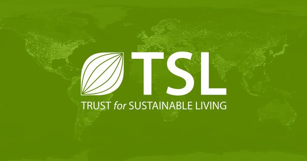 TSL 2022 International Schools Essay Competition