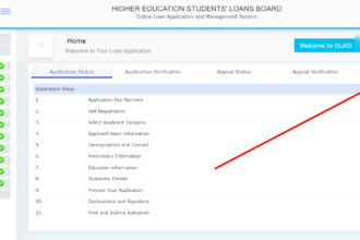 heslb loan allocation status