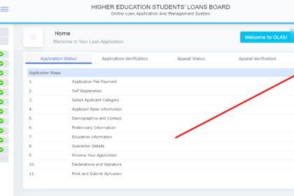 heslb loan allocation status