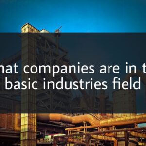 What companies are in the basic industries field
