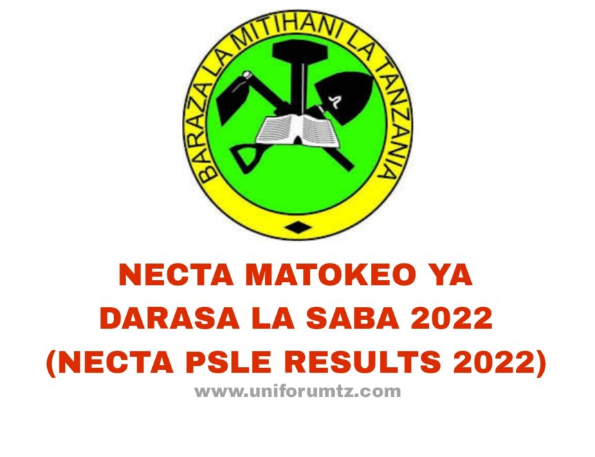 Matokeo Darasa la saba 2022/2023 All Region