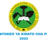 Matokeo Ya Kidato Cha Pili 2022/2023 | NECTA Form Two Results 2022, Matokeo Ya Form Two 2022/2023 Check Here