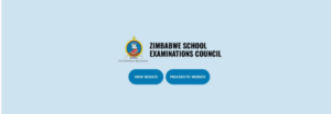 ZIMSEC Grade 7 Results Online