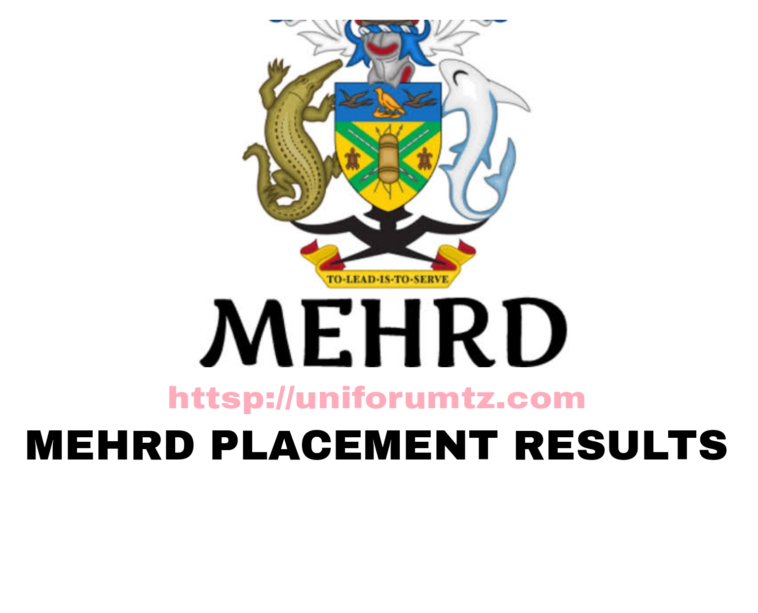 Mehrd Form 7 Placement 2023 Results