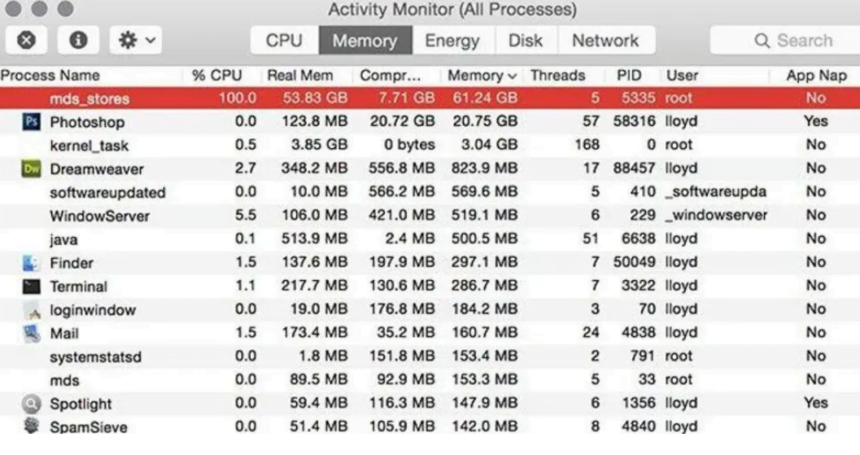 What is mds_stores Mac process