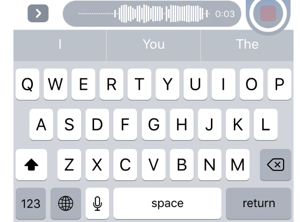 audio message not recording on iPhone