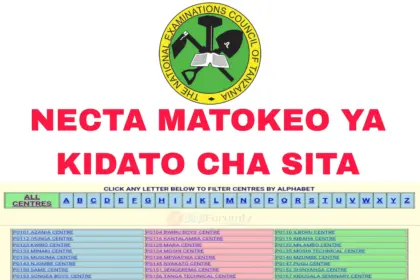 Matokeo Ya Kidato Cha sita 2023/2024 | Form Six Results 2023