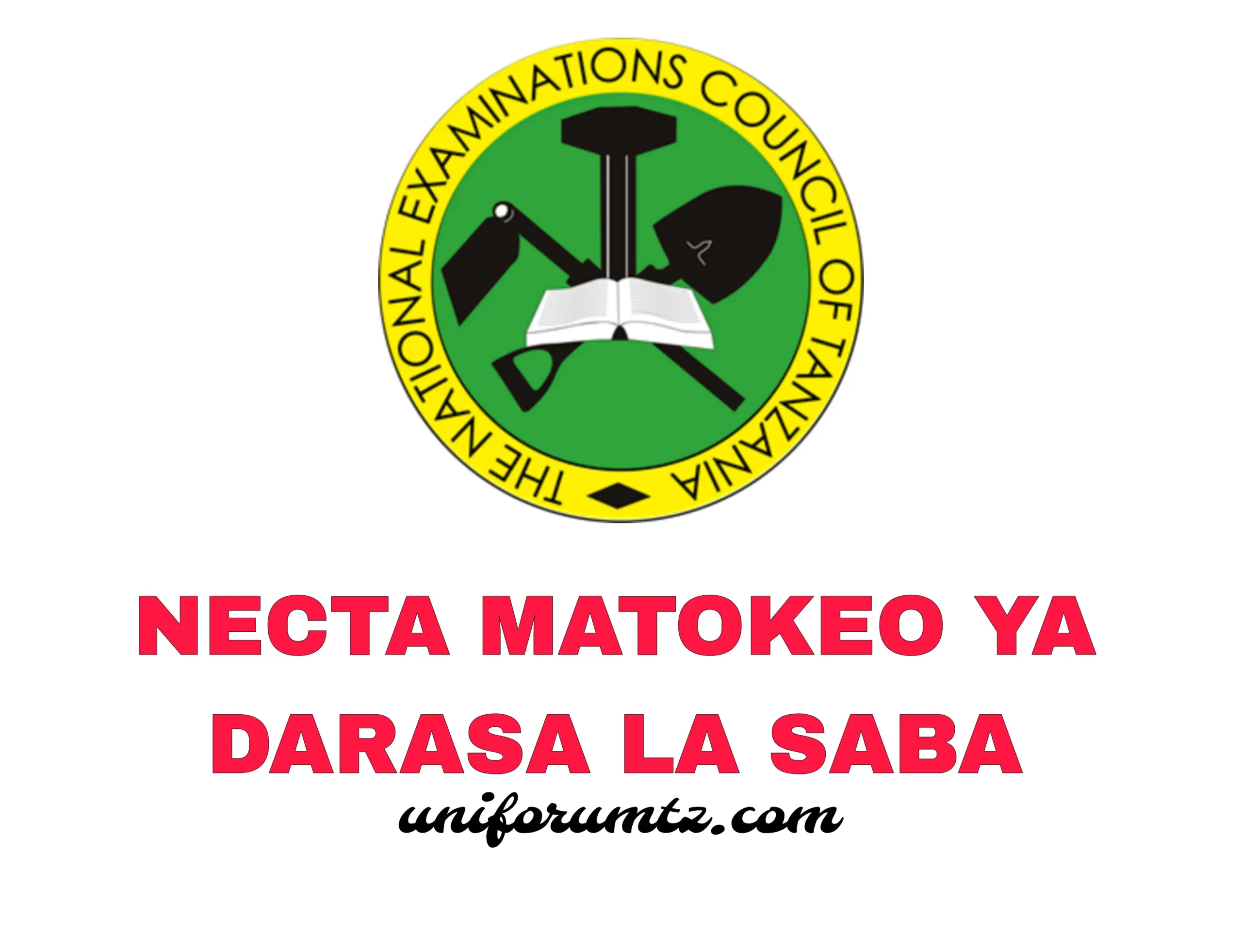 Matokeo Ya Darasa La Saba 2023/2024 NECTA PLSE Results 2023