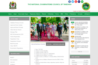 NECTA Form Four Results 2023