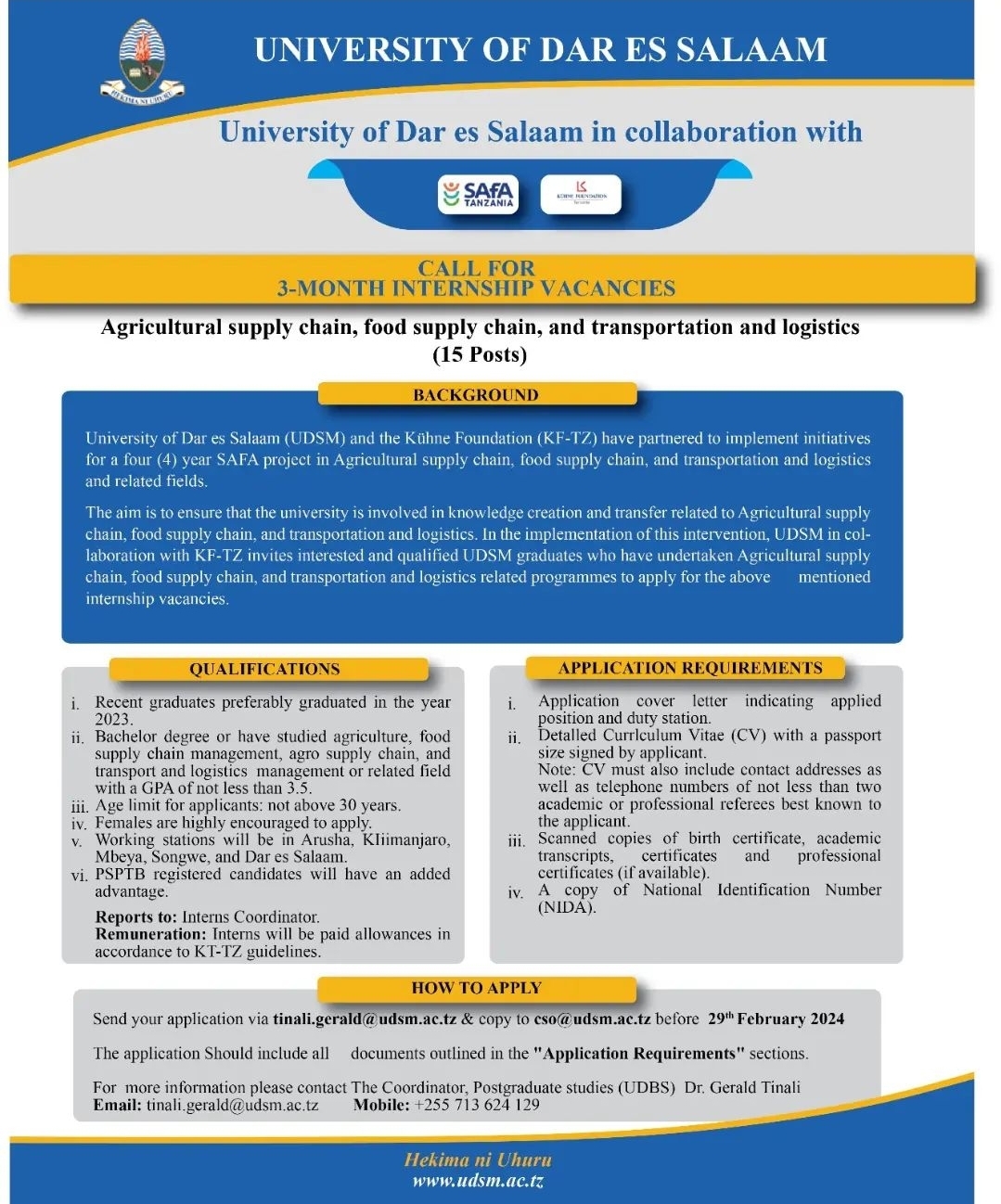 UDSM Internship Opportunities 2024