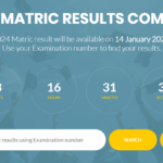 Matric Results 2024 Online Check