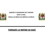 Ajira Za Halmashauri Mbalimbali 2025/2026