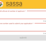 SRD SASSA Status Check – How to Track Your R370 Grant Application