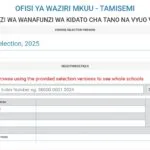 TAMISEMI Form Five Selection Online PDF Download 2026/2027